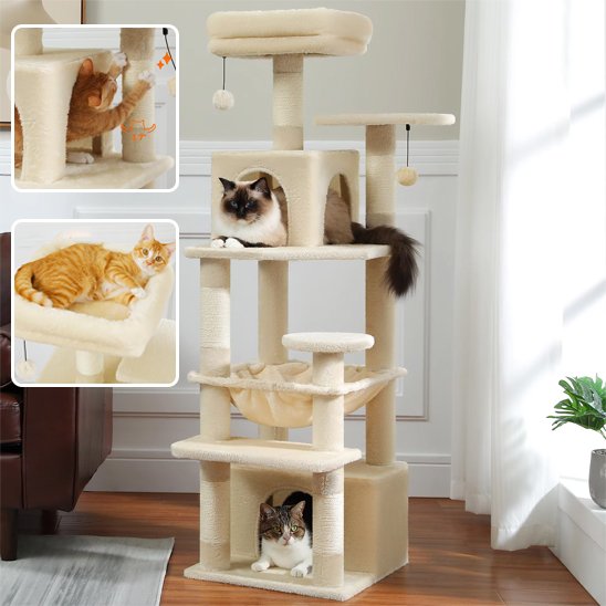 Arbre à chat | Design Noble