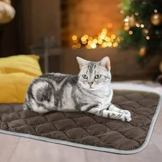 Tapis chat 2 en 1