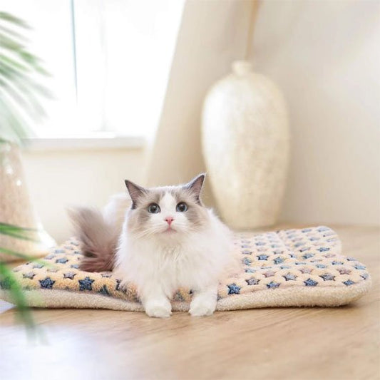 Tapis Chat blanc