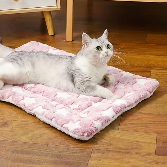 Tapis Chat rose