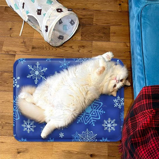 Tapis rafraichissant Chat remplissable