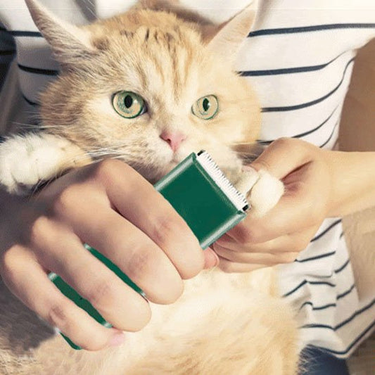 Tondeuse pour chat rechargeable